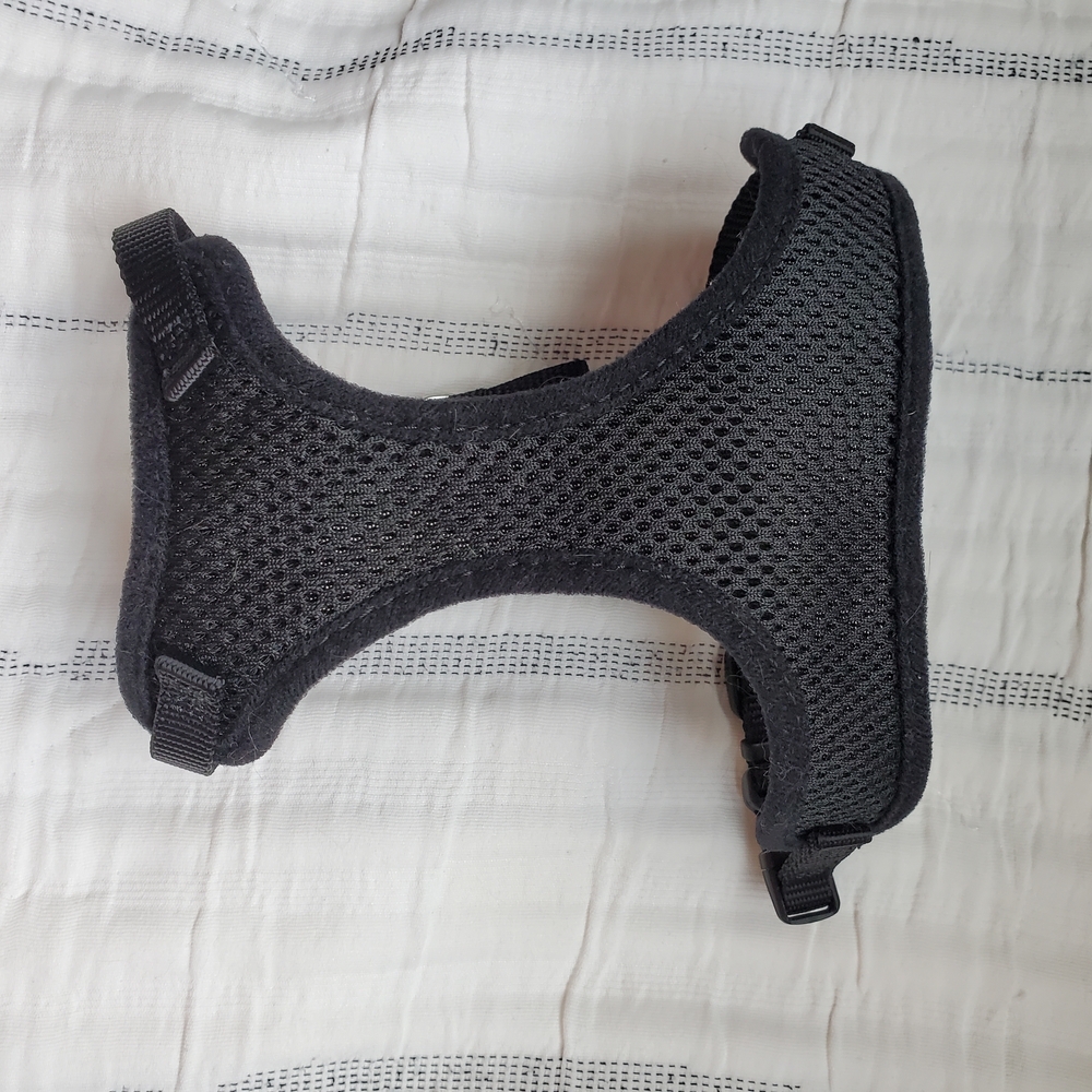 Coastal Medium Mesh Cat Harness